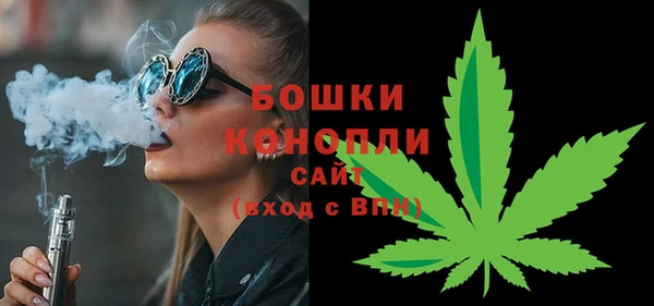 2c-b Козельск