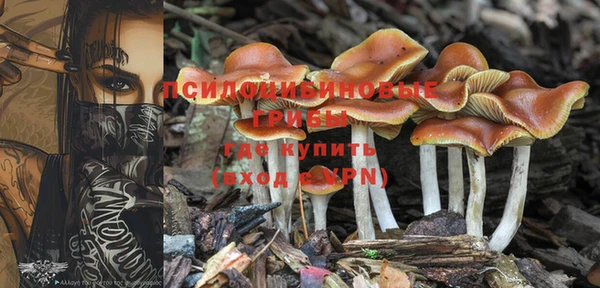 винт Кинешма