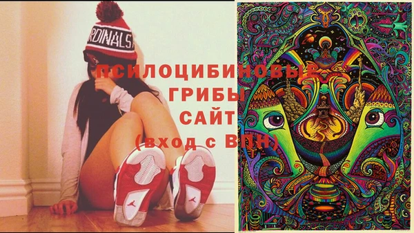 соль ск Касимов